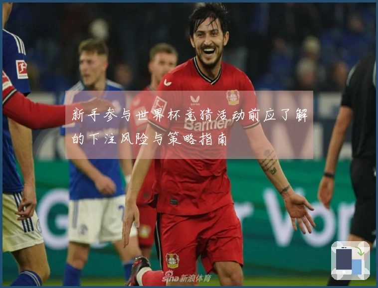 新手参与世界杯竞猜活动前应了解的下注风险与策略指南