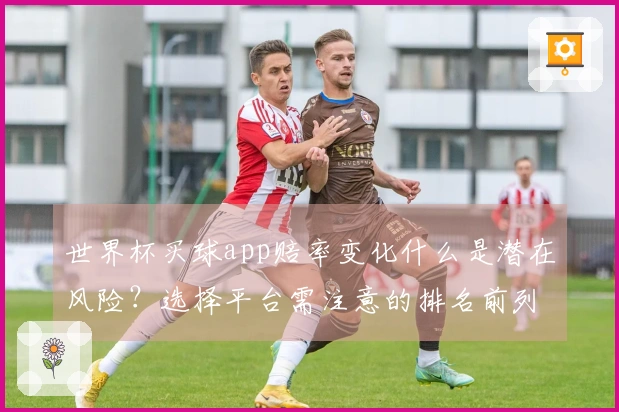 世界杯买球app赔率变化什么是潜在风险？选择平台需注意的排名前列排名