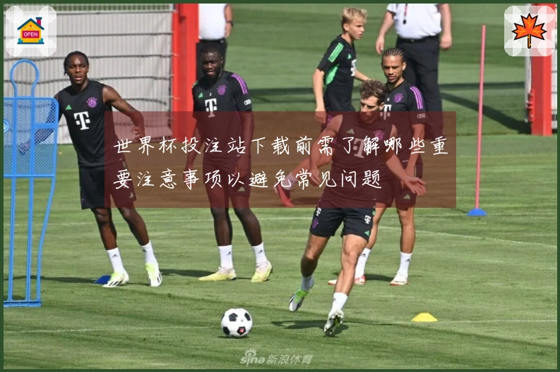 世界杯投注站下载前需了解哪些重要注意事项以避免常见问题