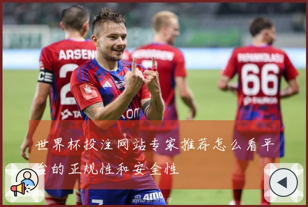 世界杯投注网站专家推荐怎么看平台的正规性和安全性