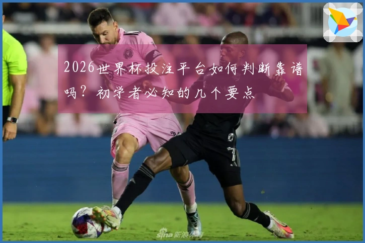 2026世界杯投注平台如何判断靠谱吗？初学者必知的几个要点