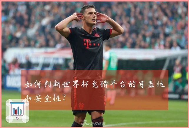如何判断世界杯竞猜平台的可靠性和安全性？